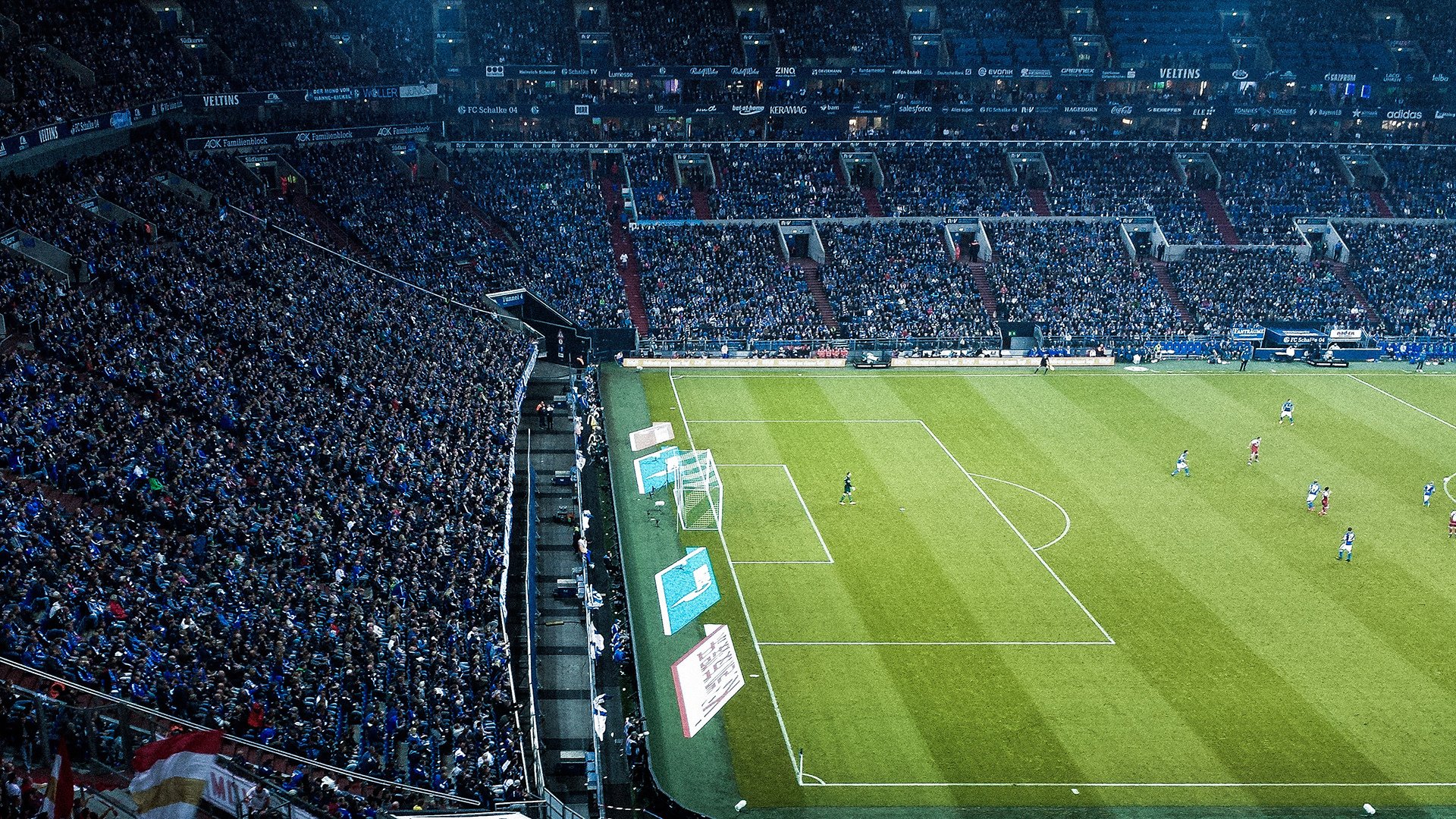 巴西队在南美预赛中领先，晋级希望强烈